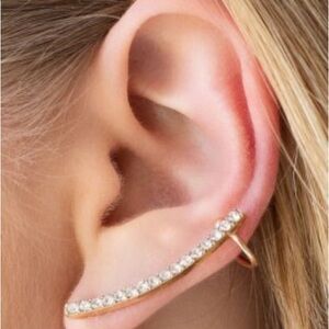 Paparazzi Gold and White Crystal Earrings